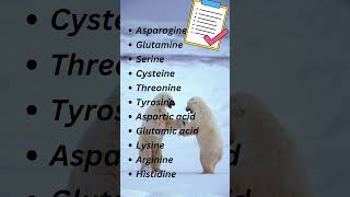 Polar vs NonPolar Amino Acids Natures Yin and Yang aminoacids biochemistry [upl. by Ayifas]