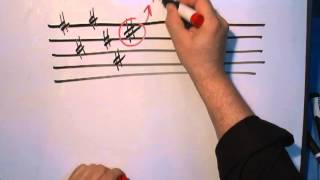 Music Theory 101 Part 1A [upl. by Derby]