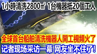 1小时清洗2800㎡，1台机器抵20个工人，全球首台船舶清洗機器人開工視頻火了，记者现场采访一幕，网友坐不住了！ [upl. by Loydie]