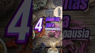 4 plantas para la menopausia 🌿🍃 ayurveda salvia aromaterapia aceitesesenciales [upl. by Atiuqahc]