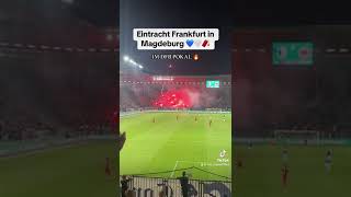 Frankfurt Ultras mit Pyro gegen Magdeburg bundesliga football fcmagdeburg ultraschallbad🧨🔥 [upl. by Hackathorn130]