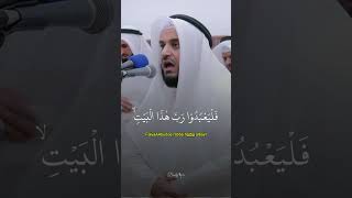 Beautiful Quran Recitation [upl. by Yelats]