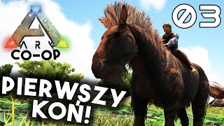 🔥 ARK Survival Evolved COOP 3 PIERWSZY KOŃ OSWOJONY [upl. by Busch967]