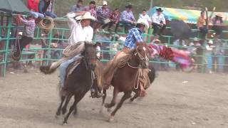 TORO EL RATONCITO quotEL TORO MAS PELIGRO DEL RANCHO CASCALOTE DE BRABVO MARZO 2016 [upl. by Ecneitap]