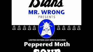 Lee Scott  Peppered Moth Soup Leaf Dog Remix Exclusive [upl. by Platas382]