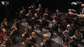 P I Cajkovskij Fifth Symphony in E minor op 64  First movement [upl. by Aara]