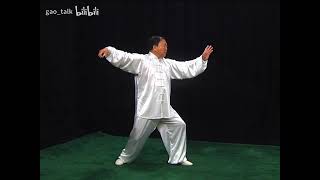 Wu Hao style taiji by Gao Liancheng [upl. by Aicsile144]