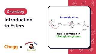 Introduction to Esters Ft Professor Dave [upl. by Gyimah]