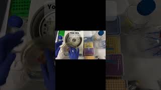 iGEM101 Lab How to centrifuge shorts biology igem [upl. by Hsirrap441]