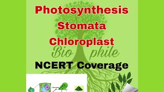 All you need to know about Photosynthesis  Stomata and Chloroplast [upl. by Sybilla]