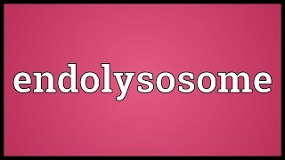 Endolysosome Meaning [upl. by Bambi]