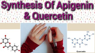 Detailed Mechanism For the Synthesis Of Apigenin and QuercetinDerivatives Of Flavones [upl. by Petracca630]