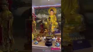 Sakyamuni Buddha Whatsapp Status buddha religion love viralvideo buddhism buddhist [upl. by Blakelee]