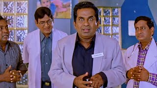 Brahmanandam Super Comedy Scenes  Preyasi Raave Movie  Funtastic Comedy [upl. by Vasileior]