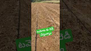 Subscribeadagale kaninitho unte chalutamotanaturalorganicfarming beautifulsong [upl. by Soelch599]