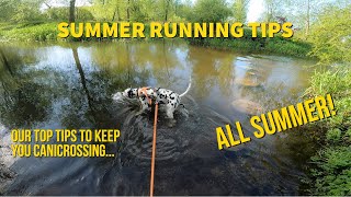 SUMMER Canicross TIPS to help keep you and your team RUNNING this summer [upl. by Salvucci]