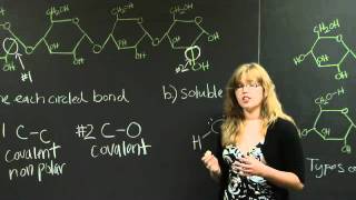 Covalent Bonds  MIT 701SC Fundamentals of Biology [upl. by Ssyla545]