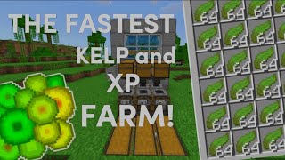 THE FASTEST KELP and XP FARM  120 Minecraft Bedrock Edition MCPEXboxPSMCBEPC [upl. by Vullo267]