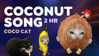 COCONUT SONG 🥥🐱 2 HOURS coconut bananacat maxwellcat funny [upl. by Bornstein501]