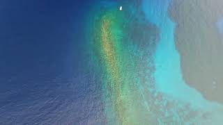 20241105  drone Molokini Maui [upl. by Mather]