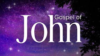 Gospel of John  Abide Audio Bible Holy Bible Audio [upl. by Lanita]