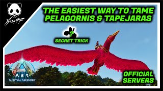 The EASIEST Way To Tame Pelagornis amp Tapejaras  Secret Trick  ARK Survival Ascended [upl. by Nuhsal964]