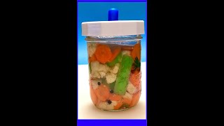 Fermented Italian Condiment Giardiniera 🥕🧄🥬🧅 [upl. by Derag614]