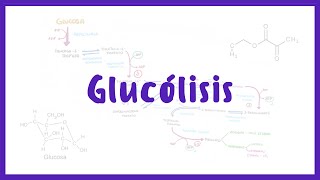 BIOQUÍMICA  Glucólisis Catabolismo de Carbohidratos  Blasto Med [upl. by Asseneg]