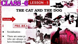 CLASS 6 English Lesson5 quotTHE CAT AND THE DOGquot Odia Medium [upl. by Redvers]