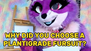 why choose a plantigrade fursuit over a digitigrade [upl. by Atews]