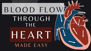 Blood Flow Through the Heart in 1 Minute Animation  Cardiac Physiology bloodflow shorts [upl. by Haisej499]