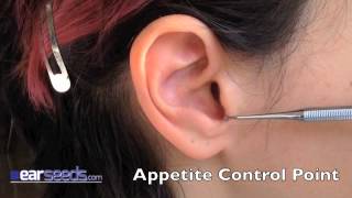 Appetite Control  Hunger Point Auriculotherapy Point [upl. by Doe]