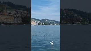 Luzern im Sommer 2024 [upl. by Attenod643]