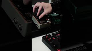 Digitech Bass Synth and SHSL Low Pass Filter [upl. by Nonnelg455]