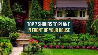 TOP 7 SHRUBS TO PLANT IN FRONT OF YOUR HOUSE ✅ [upl. by Dorene777]