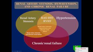 Ultrasound Assessment of Native Renal Vessels [upl. by Tikna]