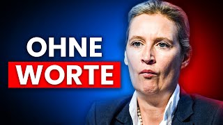 Jetzt geht es der AfD an den Kragen [upl. by Portwin]