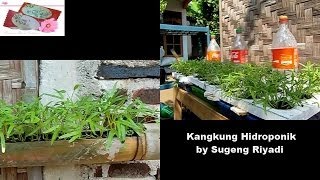 Kangkung Hidroponik Dengan Sistem Autopot [upl. by Carolyn]