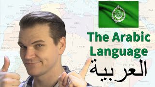 The ARABIC Language Its Amazing History and Features [upl. by Nana]