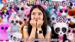 INTENSE GUESS THAT BEANIE BOO CHALLENGE ft my friend [upl. by Rosenfeld986]