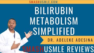 BILIRUBIN Metabolism and Causes of Jaundice [upl. by Nelhsa43]