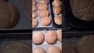 conchas de chocolate [upl. by Yeleak]