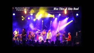 PINGUIN Blue Thier amp cocoband Live 2013 [upl. by Adekahs]