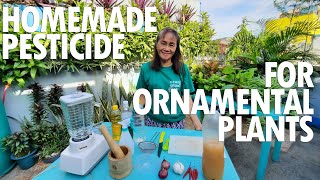 ANG SIKRETONG PAMATAY PESTE SA HALAMAN  HOMEMADE PESTICIDE para sa ORNAMENTAL PLANTS Tutorial [upl. by Landri]