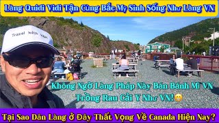 47 Làng Chài Quidi Vidi Bán Bánh Mì VN Trồng Rau Như VN Thất Vọng Gì Về Canada hiện nay [upl. by Adnalu]