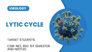 Lytic cycle  Virology L4 [upl. by Ayinat]