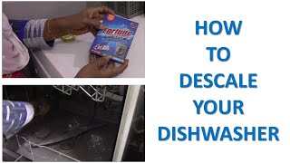 How to descale your dishwasher Demo  14 [upl. by Lertnom]