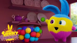 SUNNY BUNNIES  Multicolor Bunnies  Season 5  Cartoons for Children [upl. by Manya817]