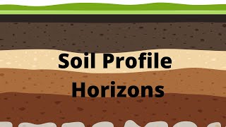 Soil Profile and Soil Horizons [upl. by Ennaeirrac211]