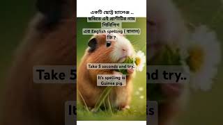 puzzling or confusing english spelling  daily used words  Guinea pig [upl. by Ahseit]